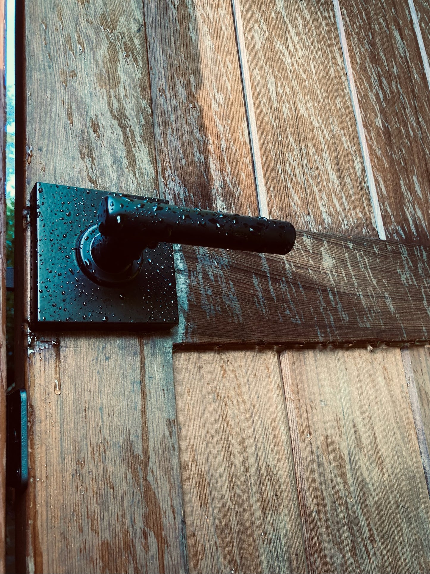 Dyno Gate Latch